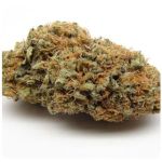 Шишки AK47  (Гидропоника, Бошка) VHQ в Копейске